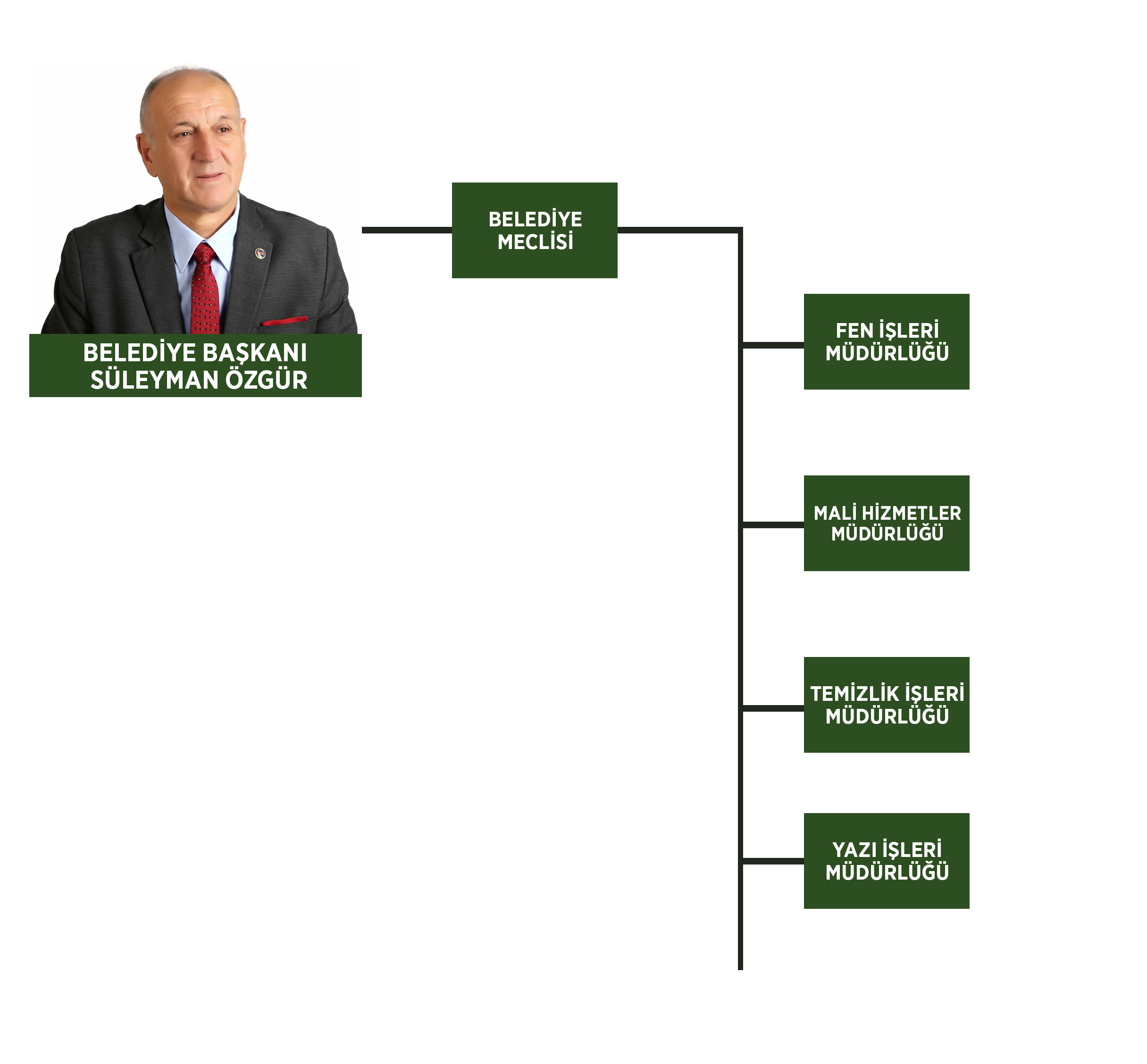 Teşkilat Şeması